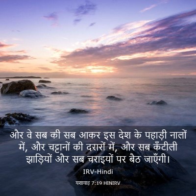 Picture 03 - यशायाह 7:19 HINIRV - और वे सब की सब आकर - Bible Verse Picture