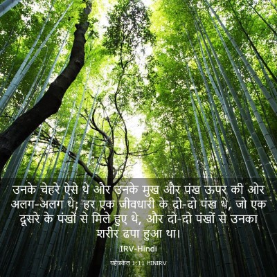 Picture 03 - यहेजकेल 1:11 HINIRV - उनके चेहरे ऐसे थे - Bible Verse Picture