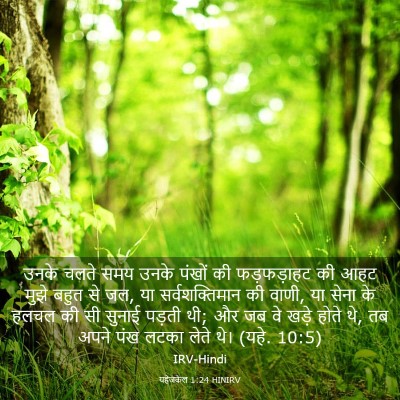Picture 03 - यहेजकेल 1:24 HINIRV - उनके चलते समय उनके - Bible Verse Picture