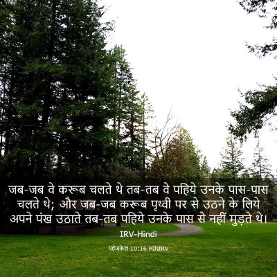 Picture 03 - यहेजकेल 10:16 HINIRV - जब-जब वे करूब चलते - Bible Verse Picture