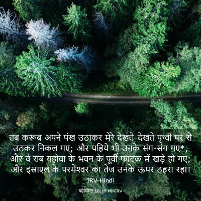 Picture 03 - यहेजकेल 10:19 HINIRV - तब करूब अपने पंख - Bible Verse Picture