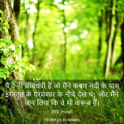 Picture 03 - यहेजकेल 10:20 HINIRV - ये वे ही जीवधारी - Bible Verse Picture