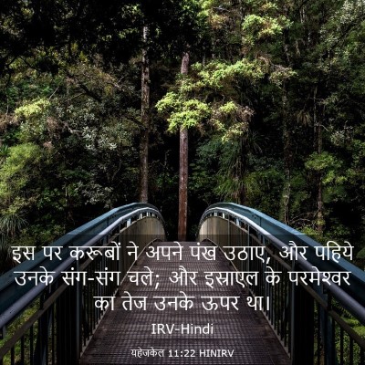 Picture 03 - यहेजकेल 11:22 HINIRV - इस पर करूबों ने - Bible Verse Picture