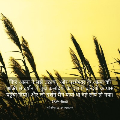 Picture 03 - यहेजकेल 11:24 HINIRV - फिर आत्मा ने मुझे - Bible Verse Picture
