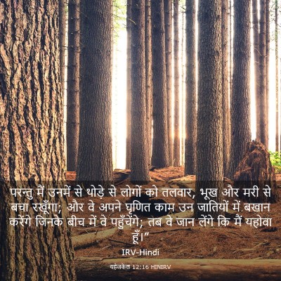 Picture 03 - यहेजकेल 12:16 HINIRV - परन्तु मैं उनमें - Bible Verse Picture