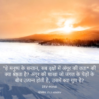 Picture 03 - यहेजकेल 15:2 HINIRV - “हे मनुष्य के - Bible Verse Picture