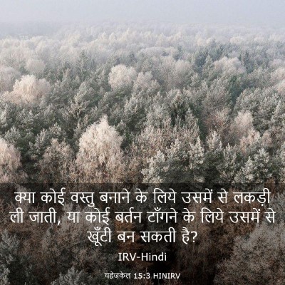Picture 03 - यहेजकेल 15:3 HINIRV - क्या कोई वस्तु - Bible Verse Picture