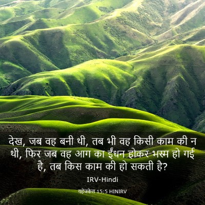 Picture 03 - यहेजकेल 15:5 HINIRV - देख, जब वह बनी थी, तब - Bible Verse Picture