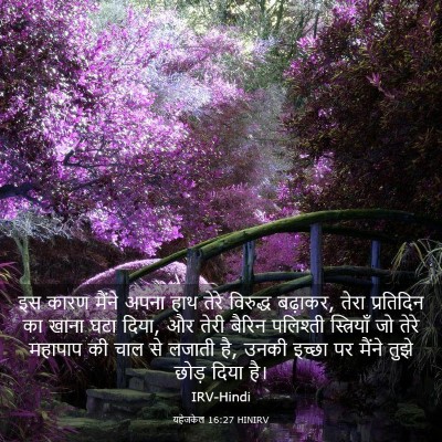 Picture 03 - यहेजकेल 16:27 HINIRV - इस कारण मैंने अपना - Bible Verse Picture