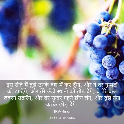 Picture 03 - यहेजकेल 16:39 HINIRV - इस रीति मैं तुझे - Bible Verse Picture