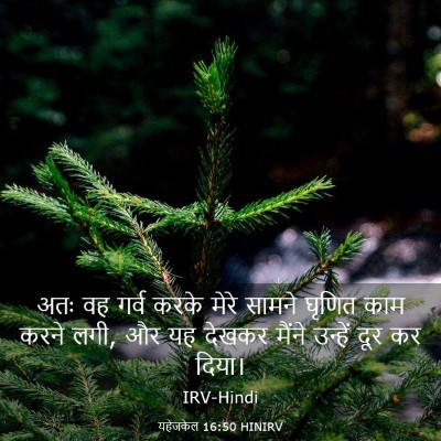 Picture 03 - यहेजकेल 16:50 HINIRV - अतः वह गर्व करके - Bible Verse Picture
