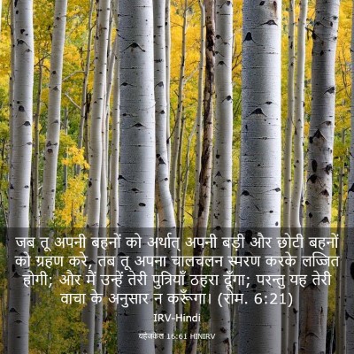 Picture 03 - यहेजकेल 16:61 HINIRV - जब तू अपनी बहनों को - Bible Verse Picture
