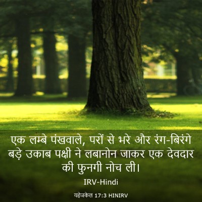 Picture 03 - यहेजकेल 17:3 HINIRV - एक लम्बे पंखवाले, - Bible Verse Picture