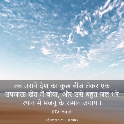 Picture 03 - यहेजकेल 17:5 HINIRV - तब उसने देश का कुछ - Bible Verse Picture