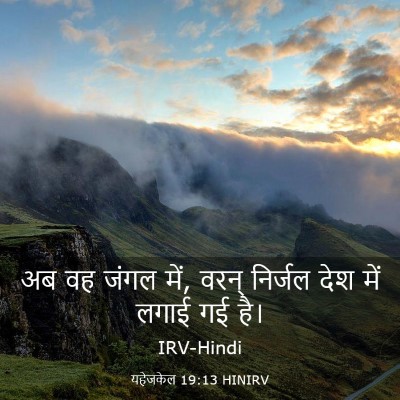 Picture 03 - यहेजकेल 19:13 HINIRV - अब वह जंगल में, - Bible Verse Picture