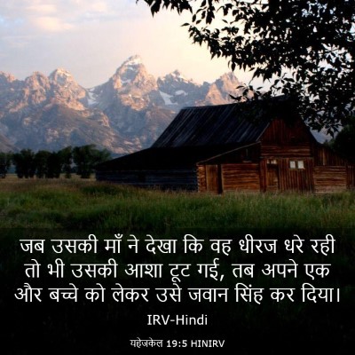 Picture 03 - यहेजकेल 19:5 HINIRV - जब उसकी माँ ने देखा - Bible Verse Picture
