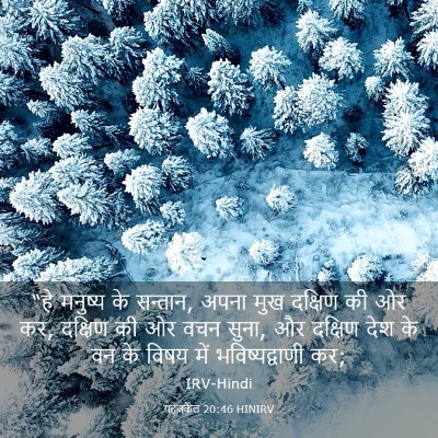 Picture 03 - यहेजकेल 20:46 HINIRV - “हे मनुष्य के - Bible Verse Picture