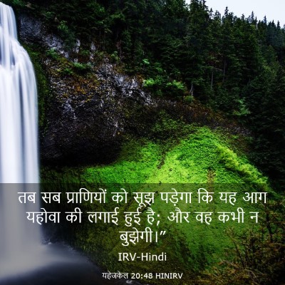 Picture 03 - यहेजकेल 20:48 HINIRV - तब सब प्राणियों को - Bible Verse Picture