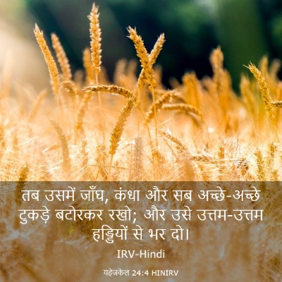 Picture 03 - यहेजकेल 24:4 HINIRV - तब उसमें जाँघ, कंधा - Bible Verse Picture