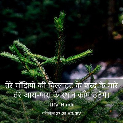 Picture 03 - यहेजकेल 27:28 HINIRV - तेरे माँझियों की - Bible Verse Picture