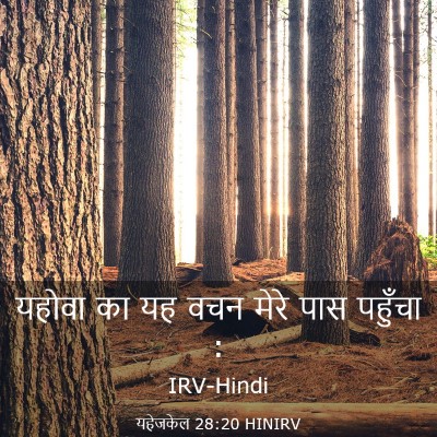 Picture 03 - यहेजकेल 28:20 HINIRV - यहोवा का यह वचन - Bible Verse Picture