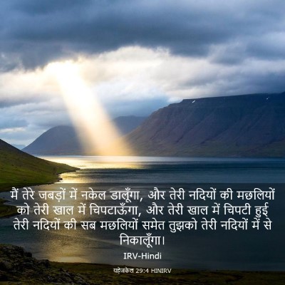 Picture 03 - यहेजकेल 29:4 HINIRV - मैं तेरे जबड़ों - Bible Verse Picture