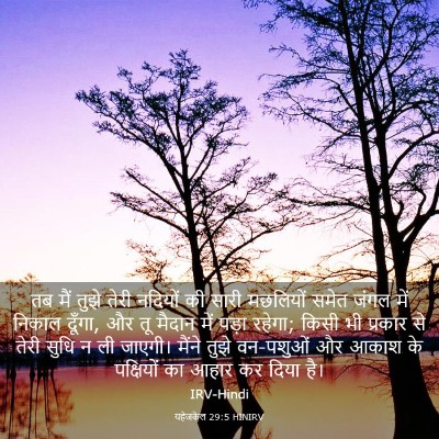 Picture 03 - यहेजकेल 29:5 HINIRV - तब मैं तुझे तेरी - Bible Verse Picture