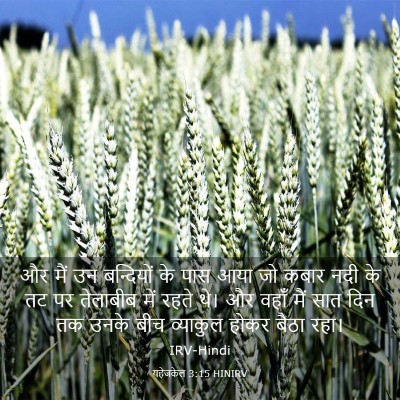 Picture 03 - यहेजकेल 3:15 HINIRV - और मैं उन बन्दियों - Bible Verse Picture