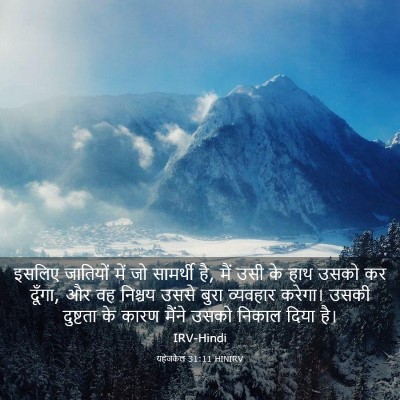 Picture 03 - यहेजकेल 31:11 HINIRV - इसलिए जातियों में - Bible Verse Picture