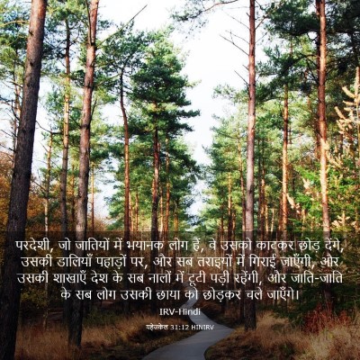 Picture 03 - यहेजकेल 31:12 HINIRV - परदेशी, जो जातियों - Bible Verse Picture