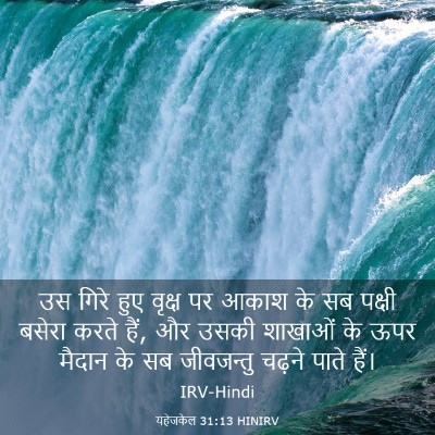 Picture 03 - यहेजकेल 31:13 HINIRV - उस गिरे हुए वृक्ष - Bible Verse Picture
