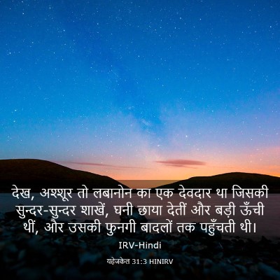 Picture 03 - यहेजकेल 31:3 HINIRV - देख, अश्शूर तो - Bible Verse Picture
