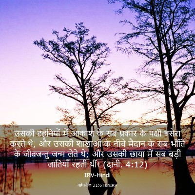 Picture 03 - यहेजकेल 31:6 HINIRV - उसकी टहनियों में - Bible Verse Picture