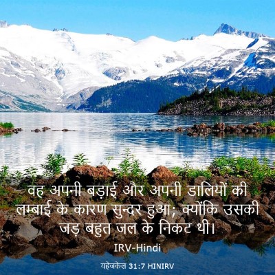 Picture 03 - यहेजकेल 31:7 HINIRV - वह अपनी बड़ाई और - Bible Verse Picture