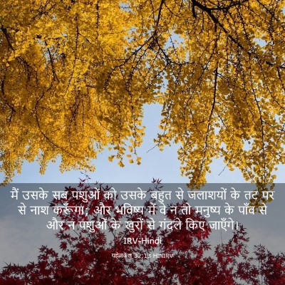 Picture 03 - यहेजकेल 32:13 HINIRV - मैं उसके सब पशुओं - Bible Verse Picture