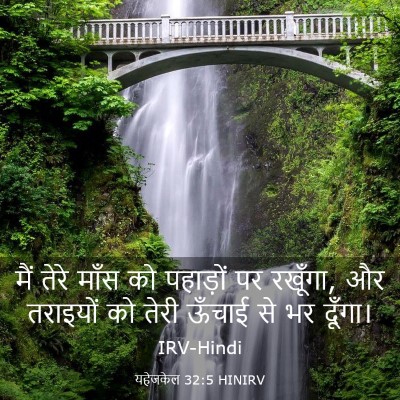 Picture 03 - यहेजकेल 32:5 HINIRV - मैं तेरे माँस को - Bible Verse Picture