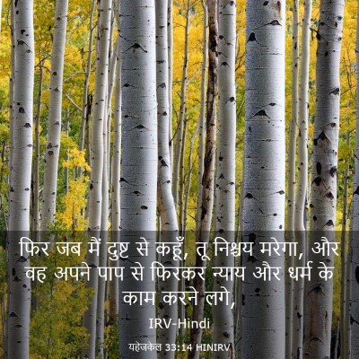 Picture 03 - यहेजकेल 33:14 HINIRV - फिर जब मैं दुष्ट से - Bible Verse Picture