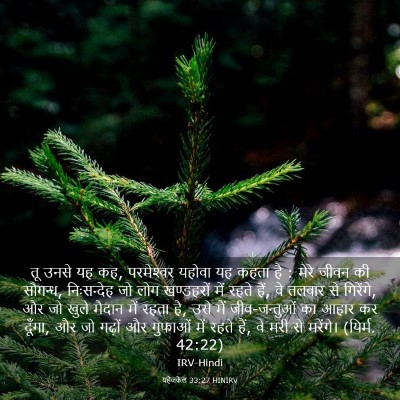 Picture 03 - यहेजकेल 33:27 HINIRV - तू उनसे यह कह, - Bible Verse Picture