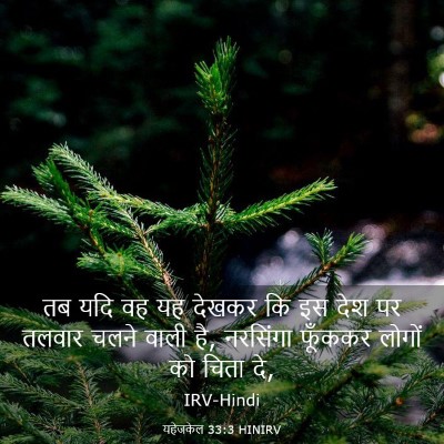 Picture 03 - यहेजकेल 33:3 HINIRV - तब यदि वह यह देखकर - Bible Verse Picture