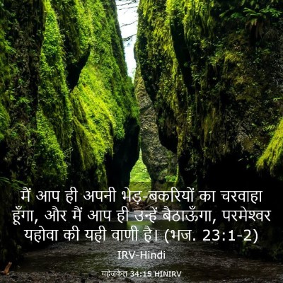 Picture 03 - यहेजकेल 34:15 HINIRV - मैं आप ही अपनी - Bible Verse Picture