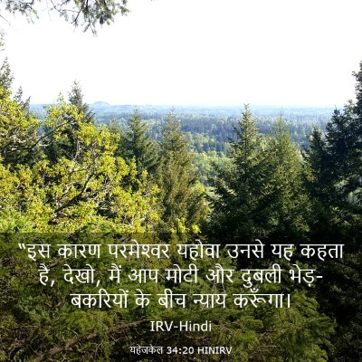 Picture 03 - यहेजकेल 34:20 HINIRV - “इस कारण - Bible Verse Picture