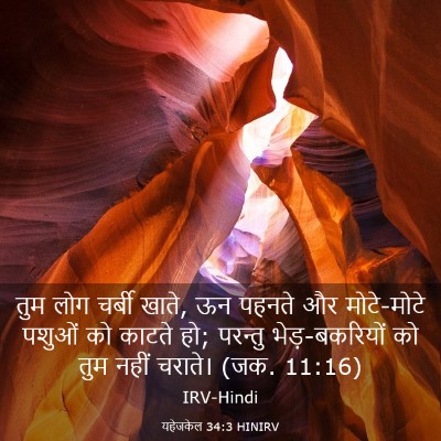 Picture 03 - यहेजकेल 34:3 HINIRV - तुम लोग चर्बी खाते, - Bible Verse Picture