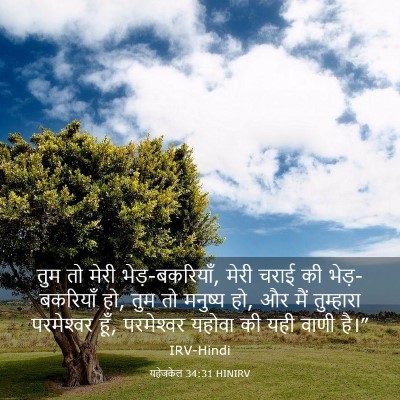 Picture 03 - यहेजकेल 34:31 HINIRV - तुम तो मेरी - Bible Verse Picture