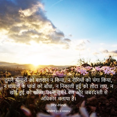 Picture 03 - यहेजकेल 34:4 HINIRV - तुमने बीमारों को - Bible Verse Picture
