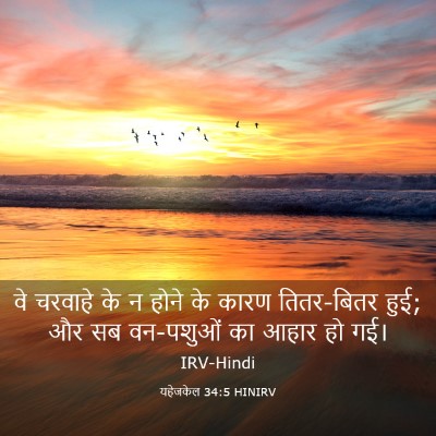Picture 03 - यहेजकेल 34:5 HINIRV - वे चरवाहे के न होने - Bible Verse Picture