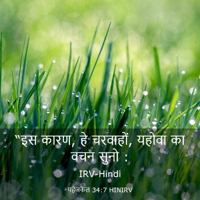 Picture 03 - यहेजकेल 34:7 HINIRV - “इस कारण, हे - Bible Verse Picture