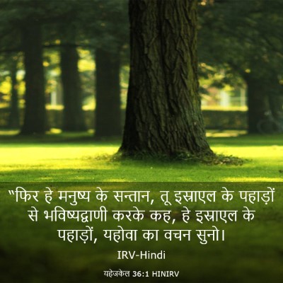 Picture 03 - यहेजकेल 36:1 HINIRV - “फिर हे मनुष्य के - Bible Verse Picture