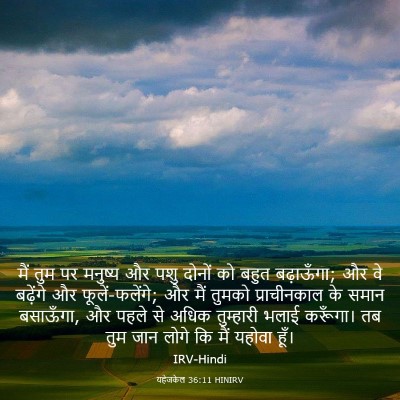 Picture 03 - यहेजकेल 36:11 HINIRV - मैं तुम पर मनुष्य - Bible Verse Picture