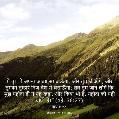 Picture 03 - यहेजकेल 37:14 HINIRV - मैं तुम में अपना - Bible Verse Picture