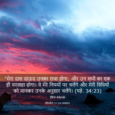 Picture 03 - यहेजकेल 37:24 HINIRV - “मेरा दास दाऊद - Bible Verse Picture